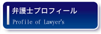 弁護士プロフィール