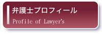 弁護士プロフィール